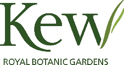 Kew logo