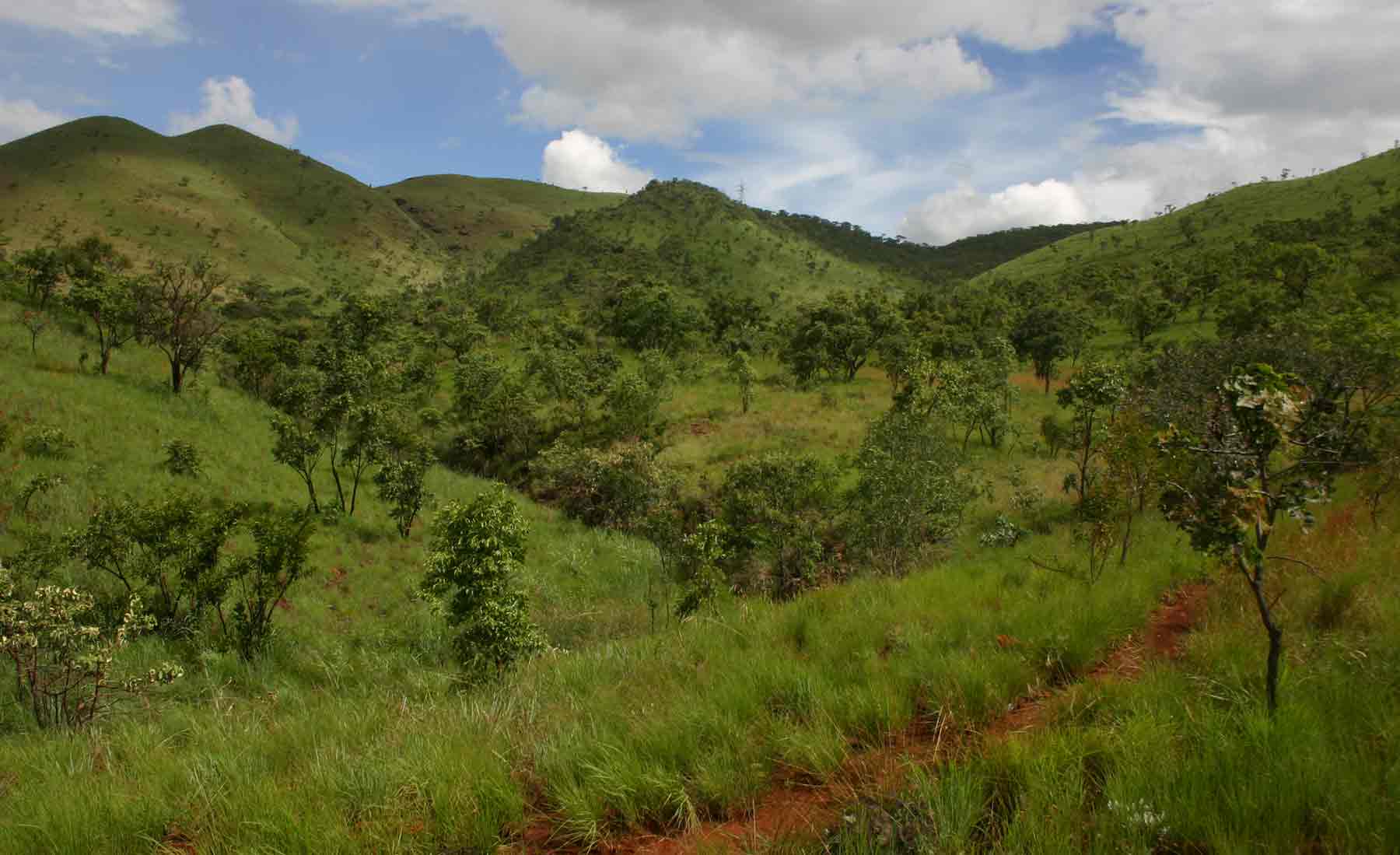 View of serpentine grassland of Gt Dyke